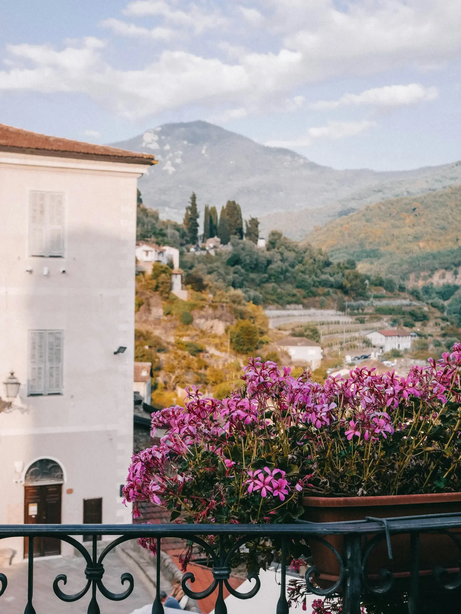 A balcony with a potted plant and a view of a town