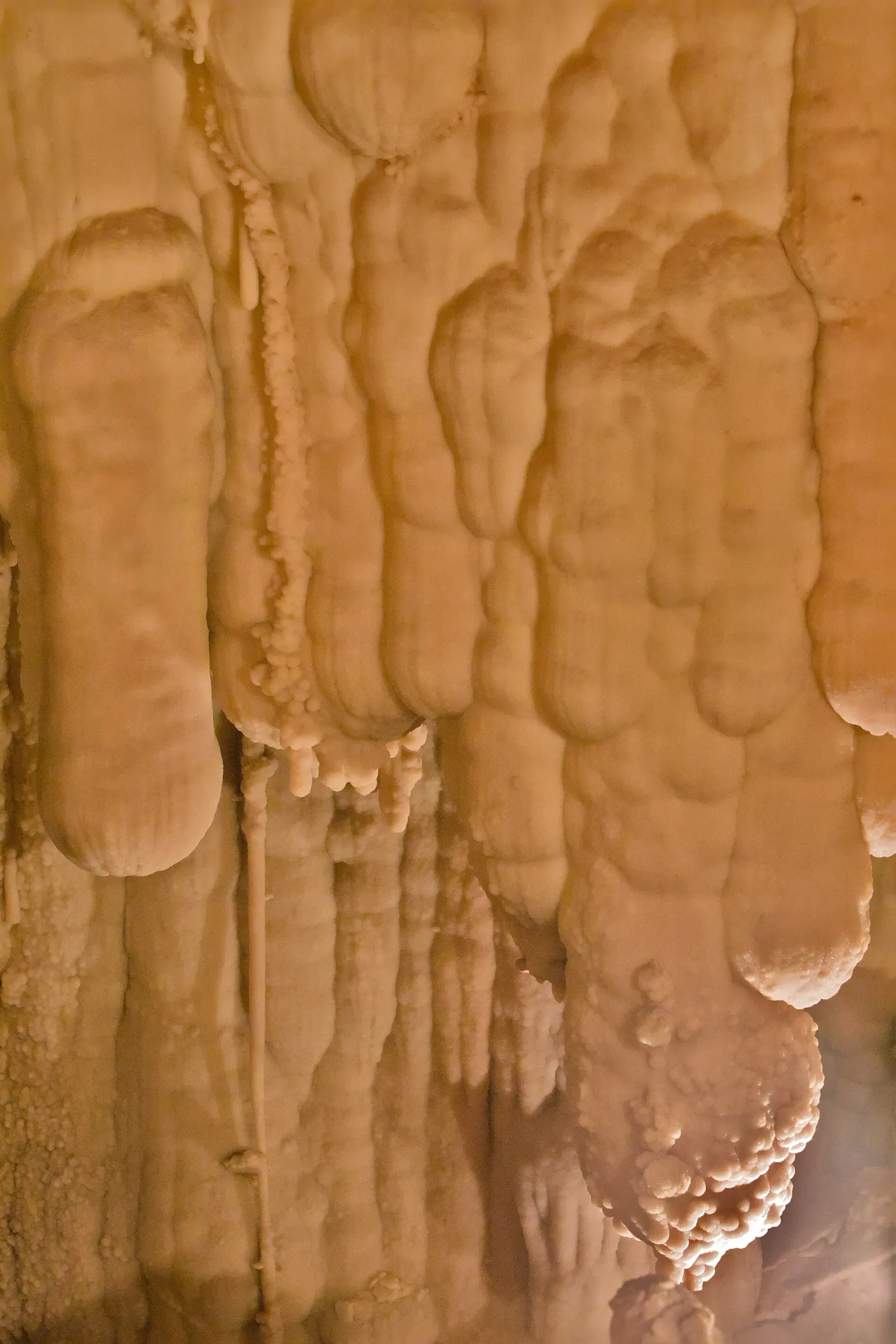 Stalattiti e stalagmiti nelle Grotte di Toirano, a 30 km da Savona